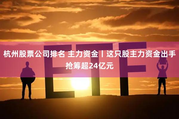 杭州股票公司排名 主力资金丨这只股主力资金出手抢筹超24亿元
