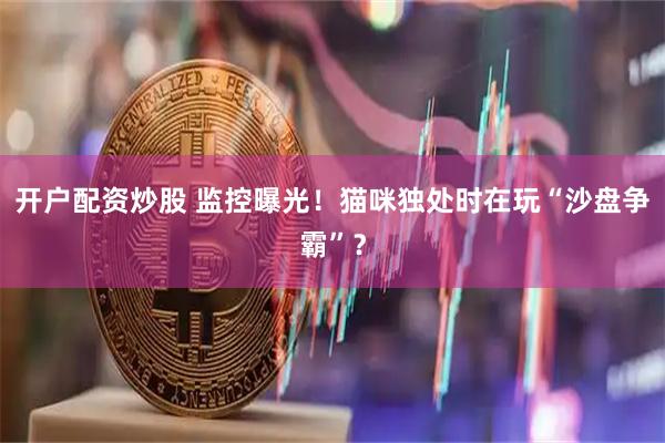 开户配资炒股 监控曝光！猫咪独处时在玩“沙盘争霸”？