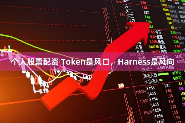 个人股票配资 Token是风口，Harness是风向
